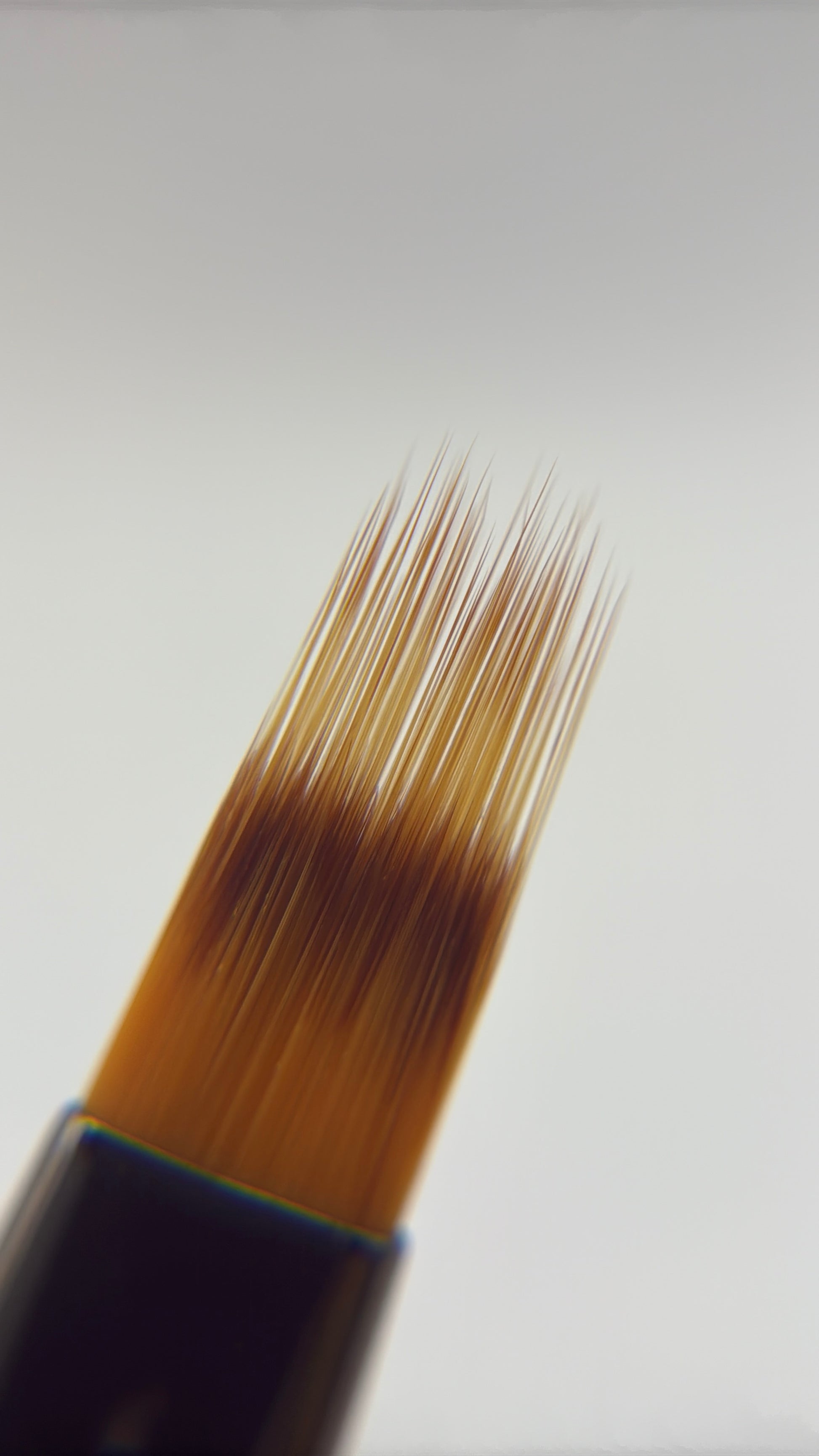 Spectrum Ombre