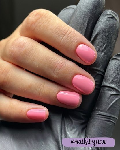 Axolotl - Pro Gel Colour