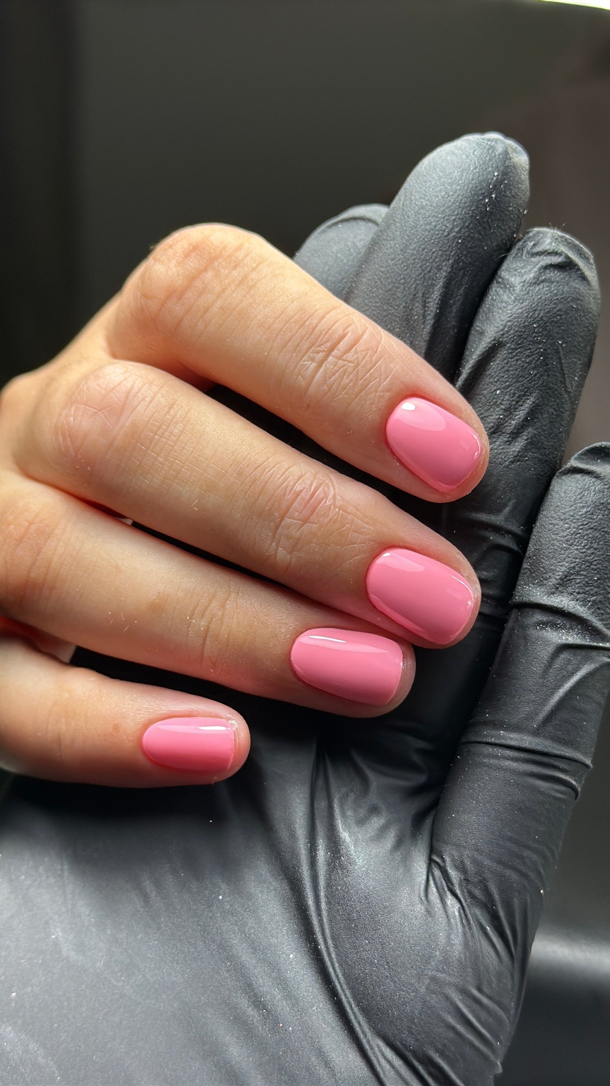 Axolotl - Pro Gel Colour