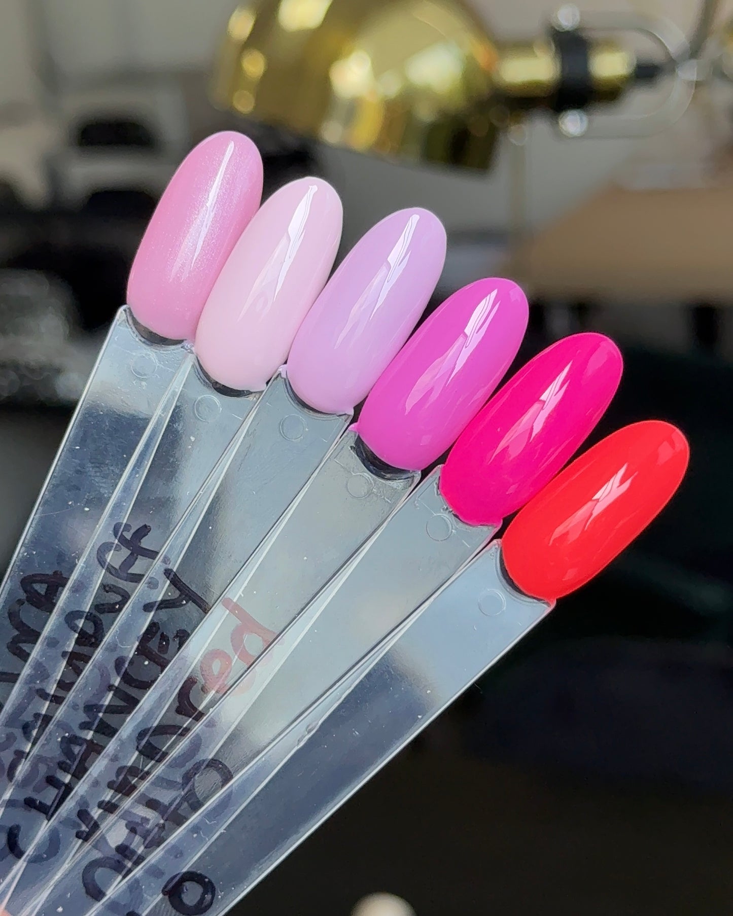 Summer Colour Drop Set