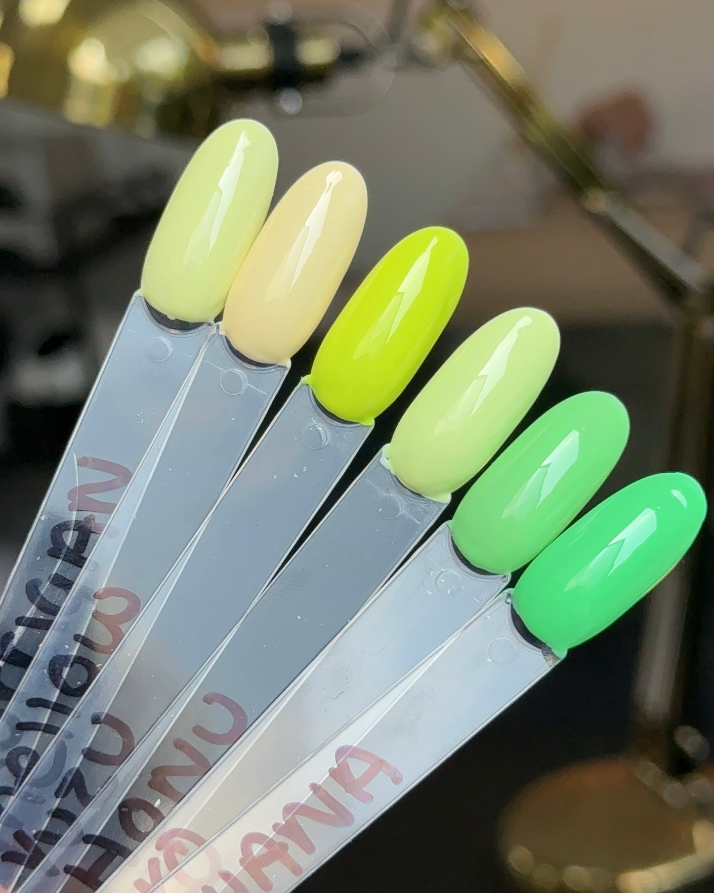 Summer Colour Drop Set